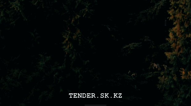 tender.sk.kz