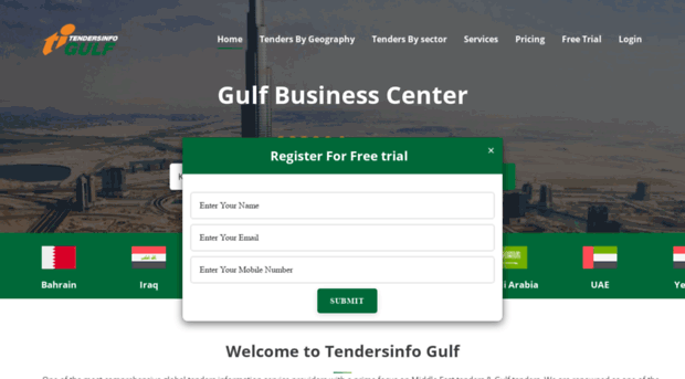 tendersinfogulf.com