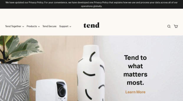 tendinsights.com