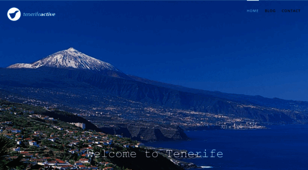 tenerifeactive.com