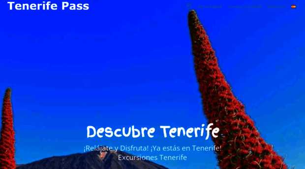 tenerifepass.net