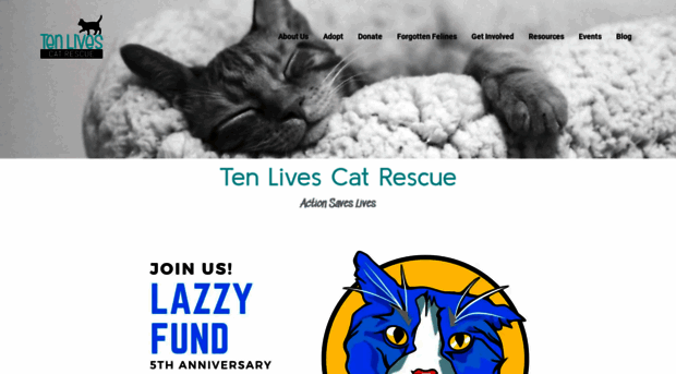 tenlivescatrescue.org