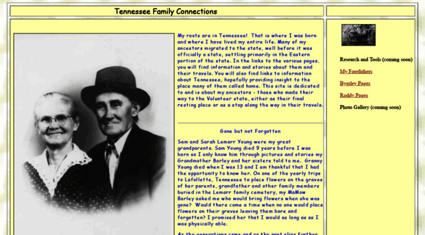 tennessee-connection.com