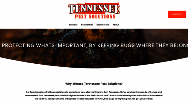 tennesseepestsolutions.com