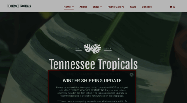 tennesseetropicals.com