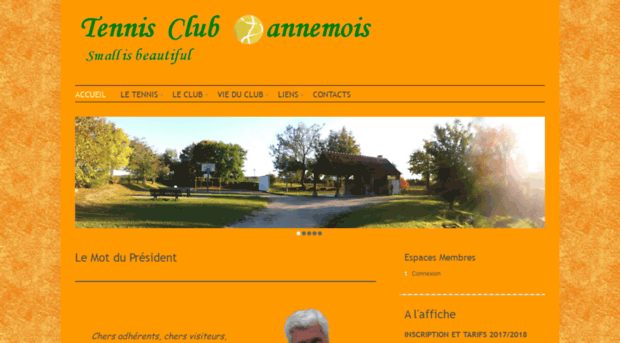 tennisclubdannemois.free.fr