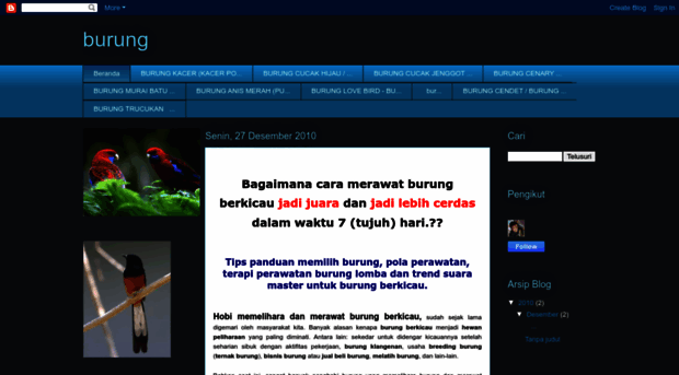 tentang-burung.blogspot.com