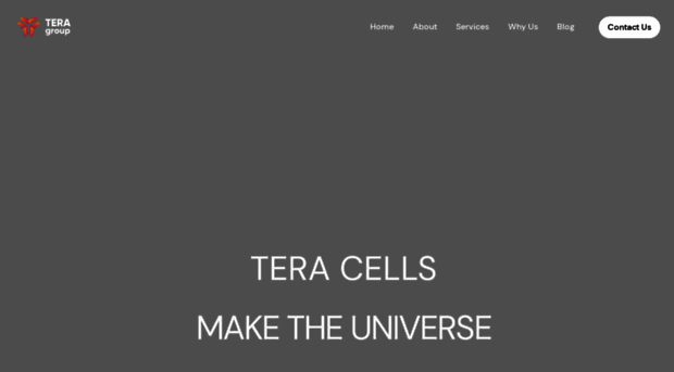 teragroup.io