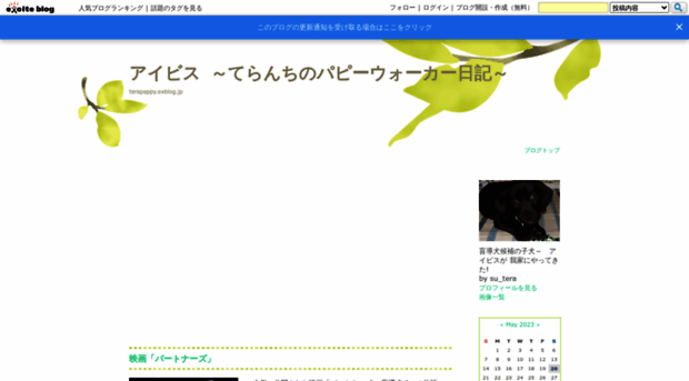 terapappy.exblog.jp