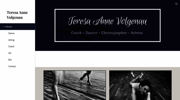 teresaannevolgenau.com