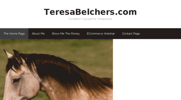 teresabelchers.com