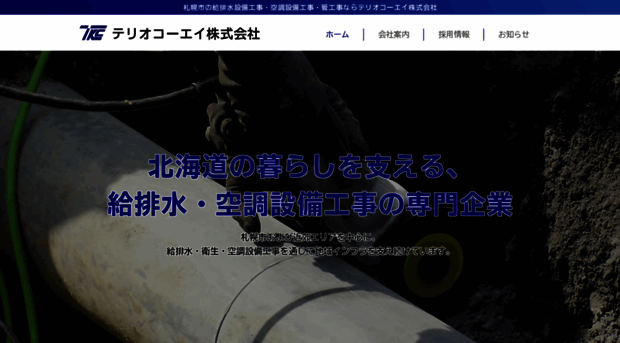 teriokoei.com