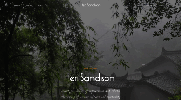 terisandison.com