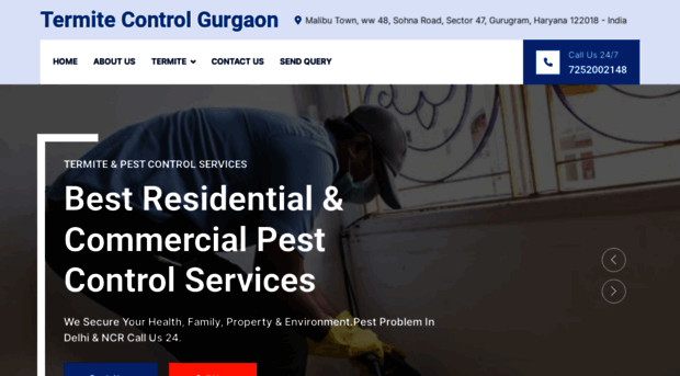 termitecontrolgurgaon.co.in