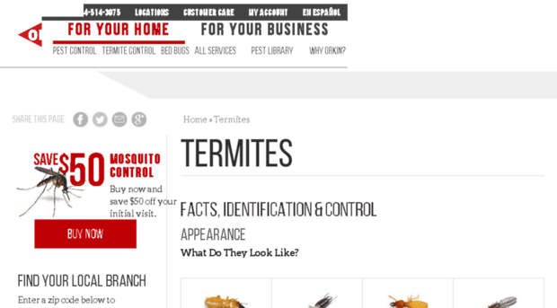 termites101.org