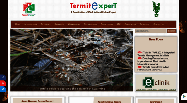termitexpert.in
