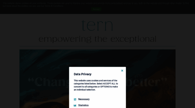 ternplc.com