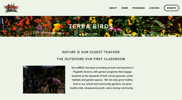 terrabirds.org