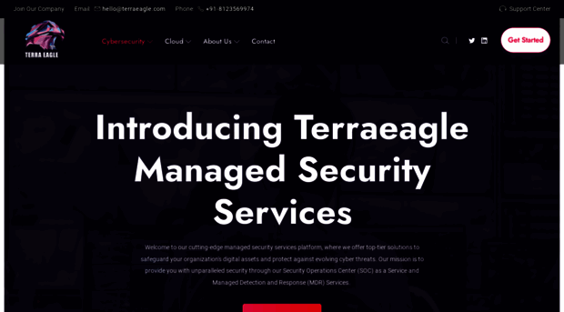 terraeagle.com