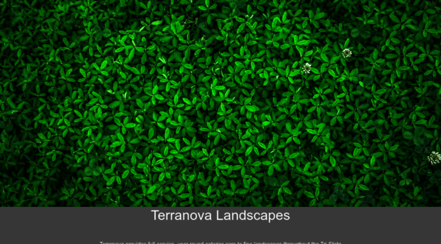 terranovafinelandscapes.com