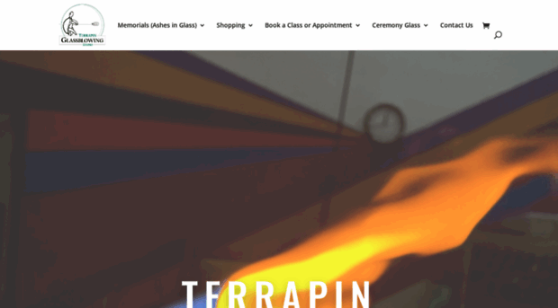 terrapinglass.com