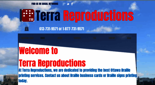 terrareproductions.com