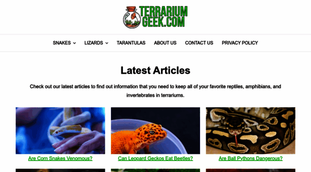 terrariumgeek.com