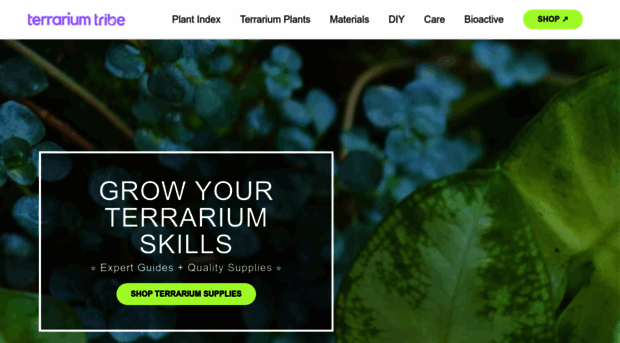 terrariumtribe.com
