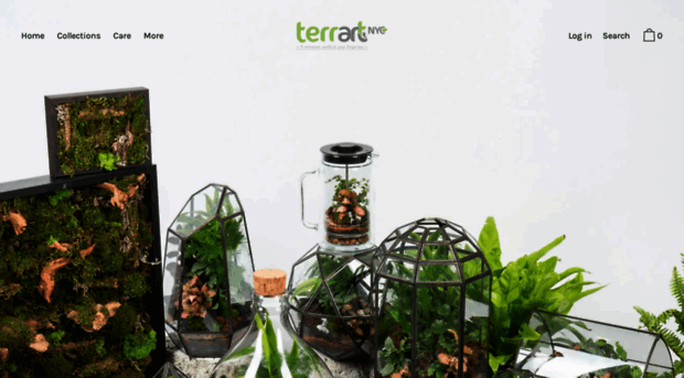 terrartnyc.com