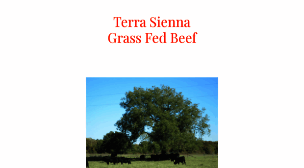 terrasiennagrassfedbeef.com