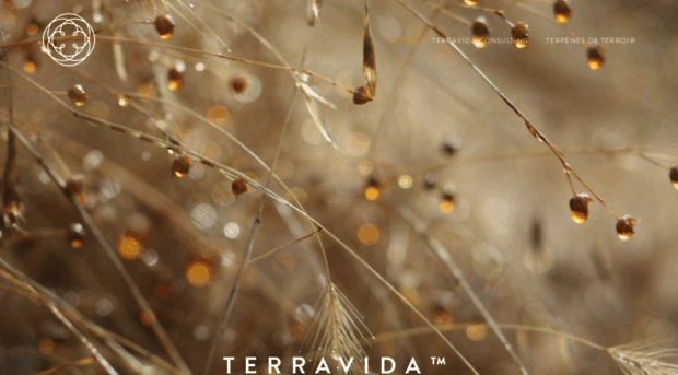 terravidafarms.com