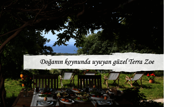 terrazoe.com