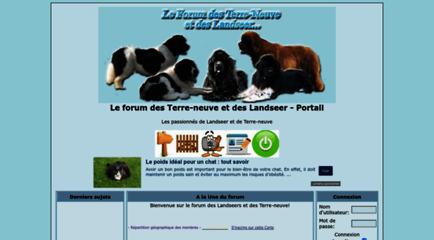 terre-neuve.forumactif.com