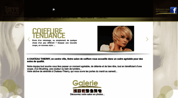 terredecheveux.fr