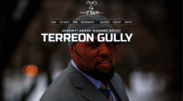 terreongully.com