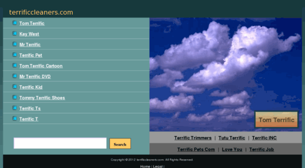 terrificcleaners.com