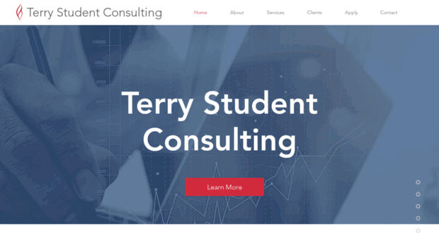 terrystudentconsulting.com