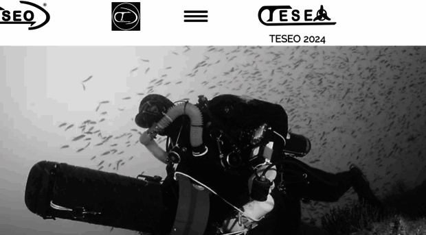 teseotrs.com