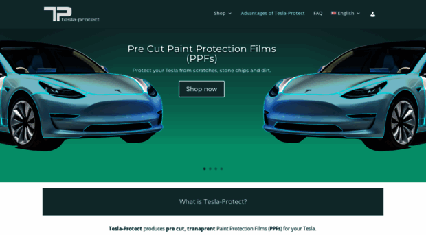 tesla-protect.com