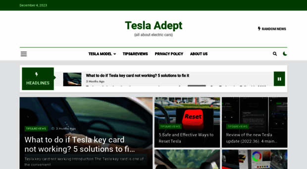 tesladept.com