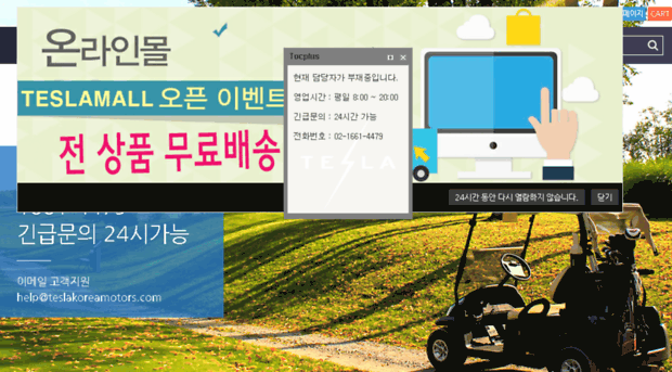 teslakoreamotors.com