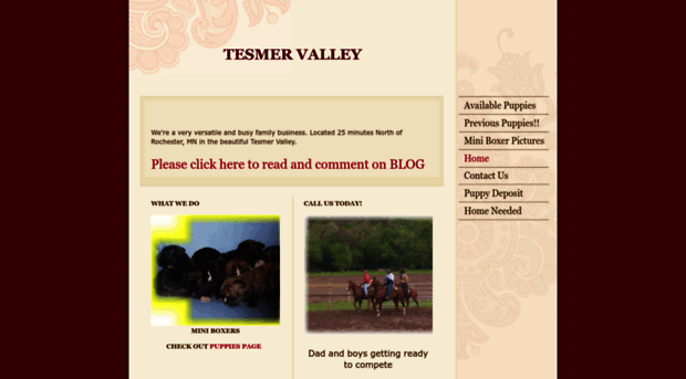 tesmervalley.com