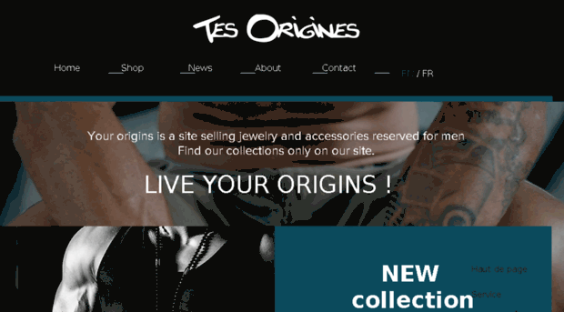 tesorigines.com