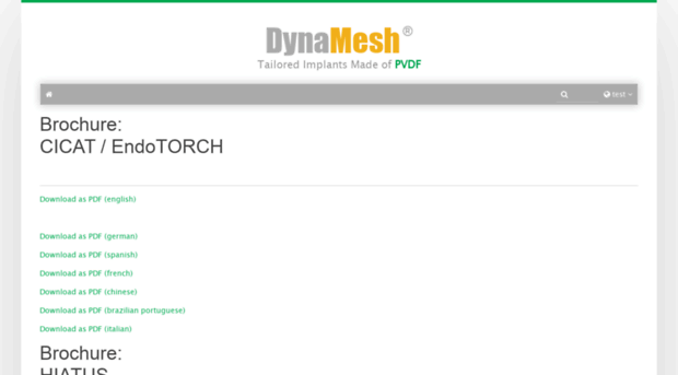 test.dyna-mesh.com