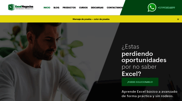 test.excelnegocios.com