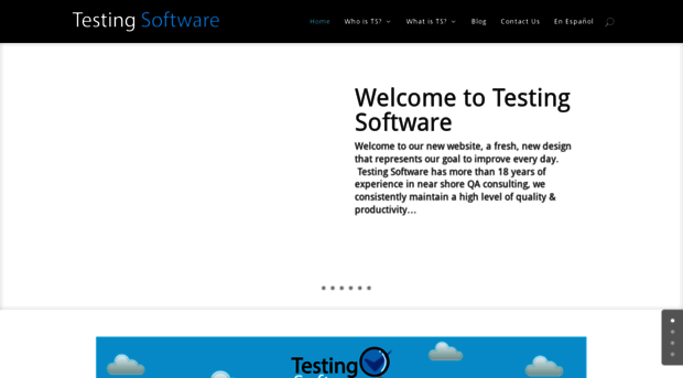 testingsoft.com