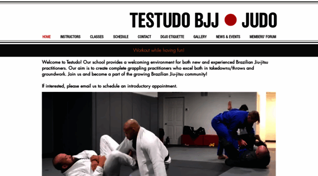 testudobjj.com