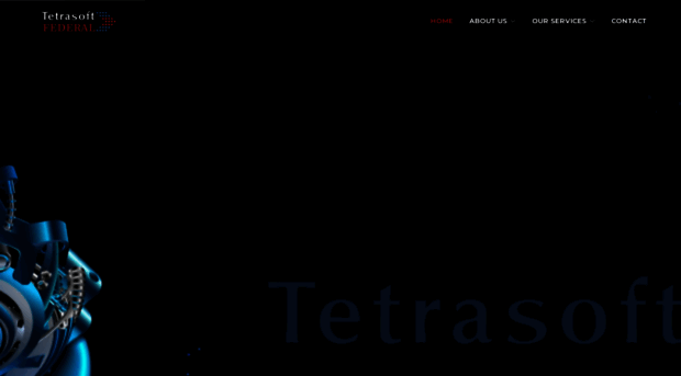 tetrasoftfederal.us