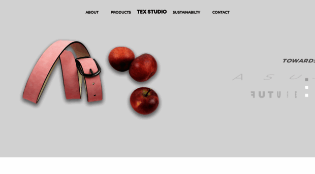 tex.studio