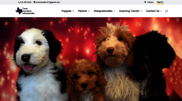 texasaustralianlabradoodles.com